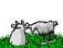  Jokes_GoatEatGrass.gif 