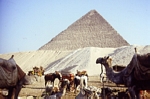  Giza 