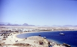  Sinai 