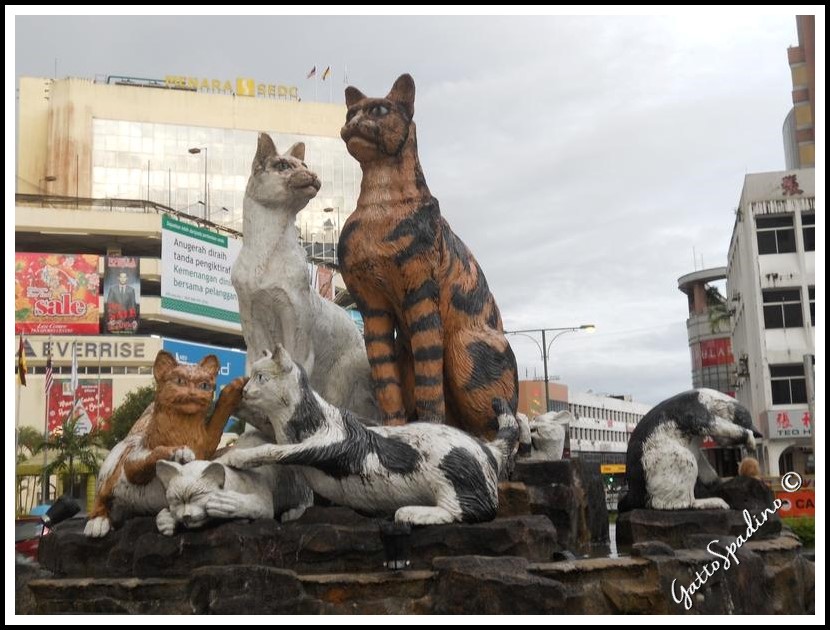  Il gatto emblema cittadino 