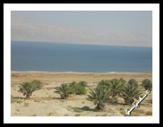  Mar Morto 