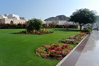  Muscat 