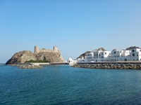  Muscat 