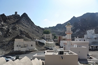  Muscat 