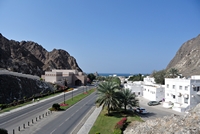  Muscat 