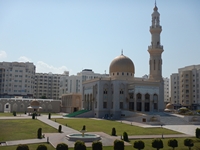  Muscat 