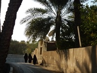  Nizwa 