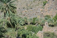  Nizwa 