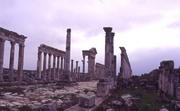  Apamea 