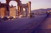  Palmyra 