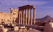  Palmyra 23.08.2015 Vaff... IS 