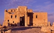  Palmyra  23.08.2015 Vaff... IS 