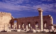  Palmyra 23.08.2015 