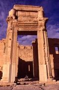  Palmyra 
