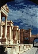  Palmyra 