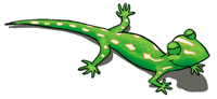  Sono uno dei tanti scherzetti, compaio a caso fra le pagine. Gira per il sito, cerca gli altri :D 