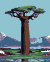  Clicca qua per altre foto di  Baobab 