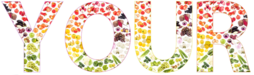  Places you go and things that you eat 